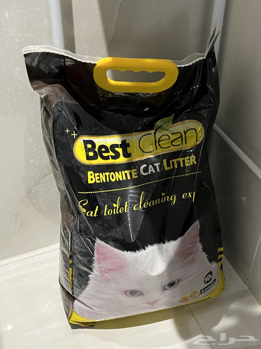 رمل قطط64359981054082111