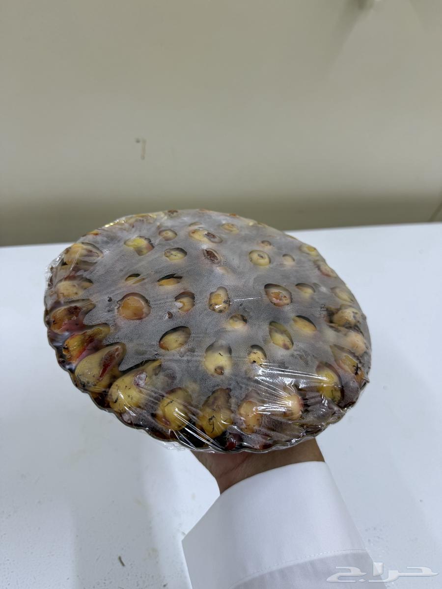 د خل الموسم64352473744641111