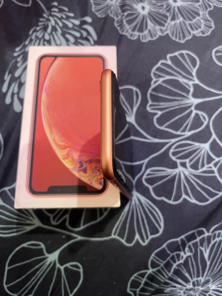 iPhone XR 256GB64361326606721114