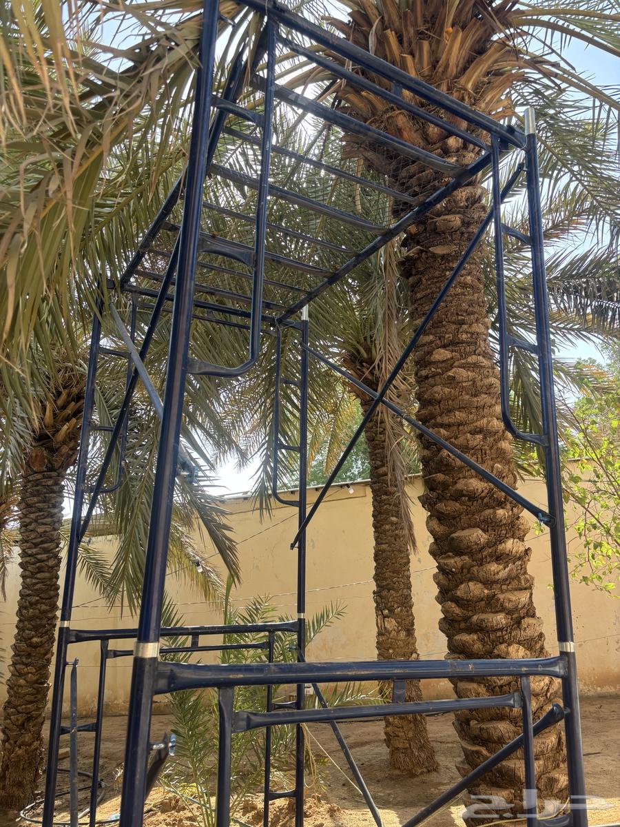 Scaffolding64495720146689110