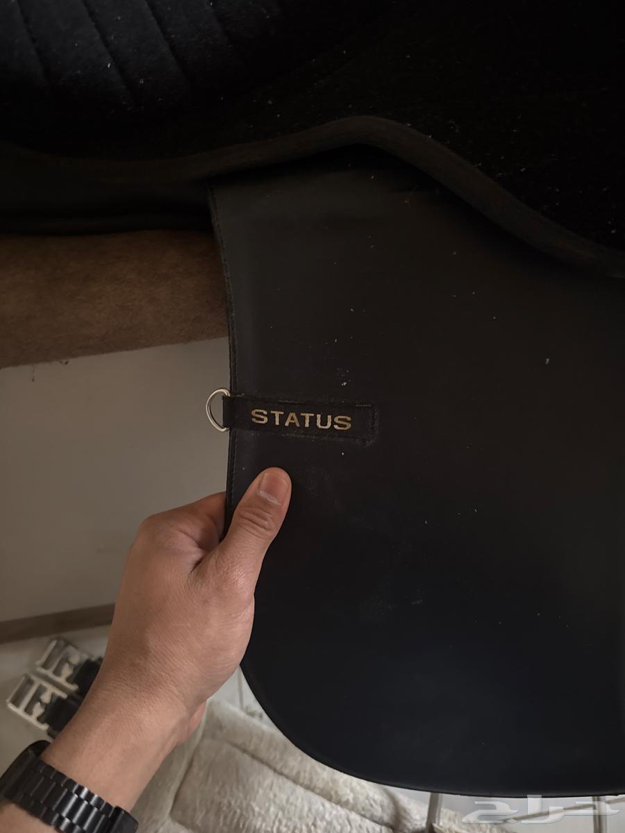 New Status Aakho Saddle with Iron Stirrups and Padding64352061670913112
