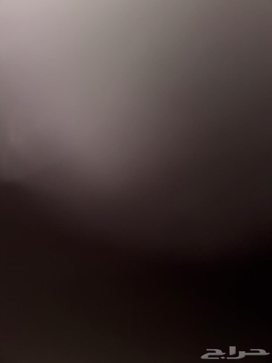 ناقه خلفه منيحه مشرطه64360216614403110