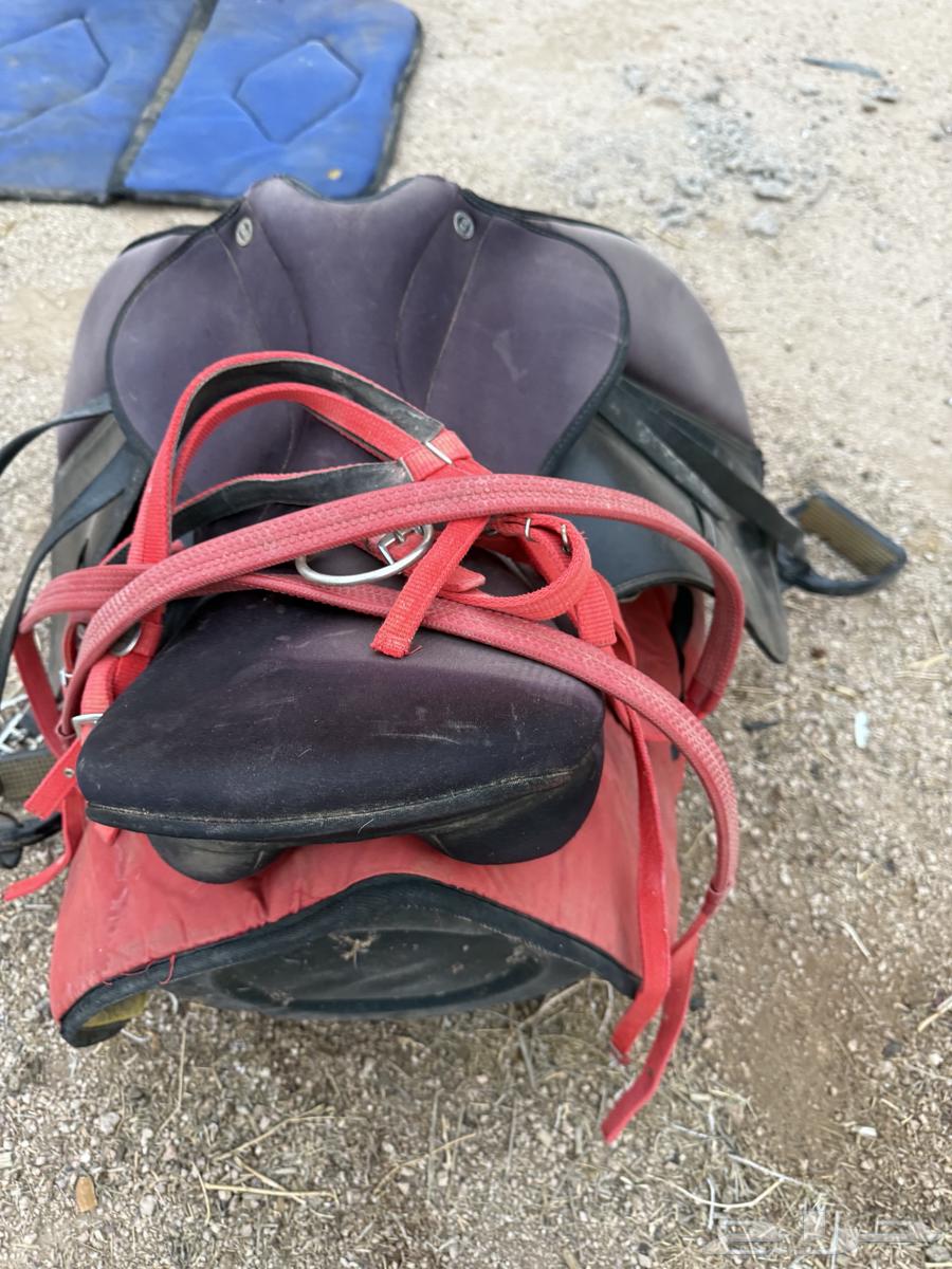 للبيع سرج خيل64356077516417114