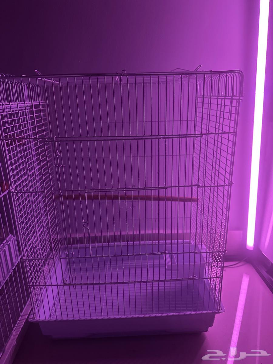 قفص64354474899587111