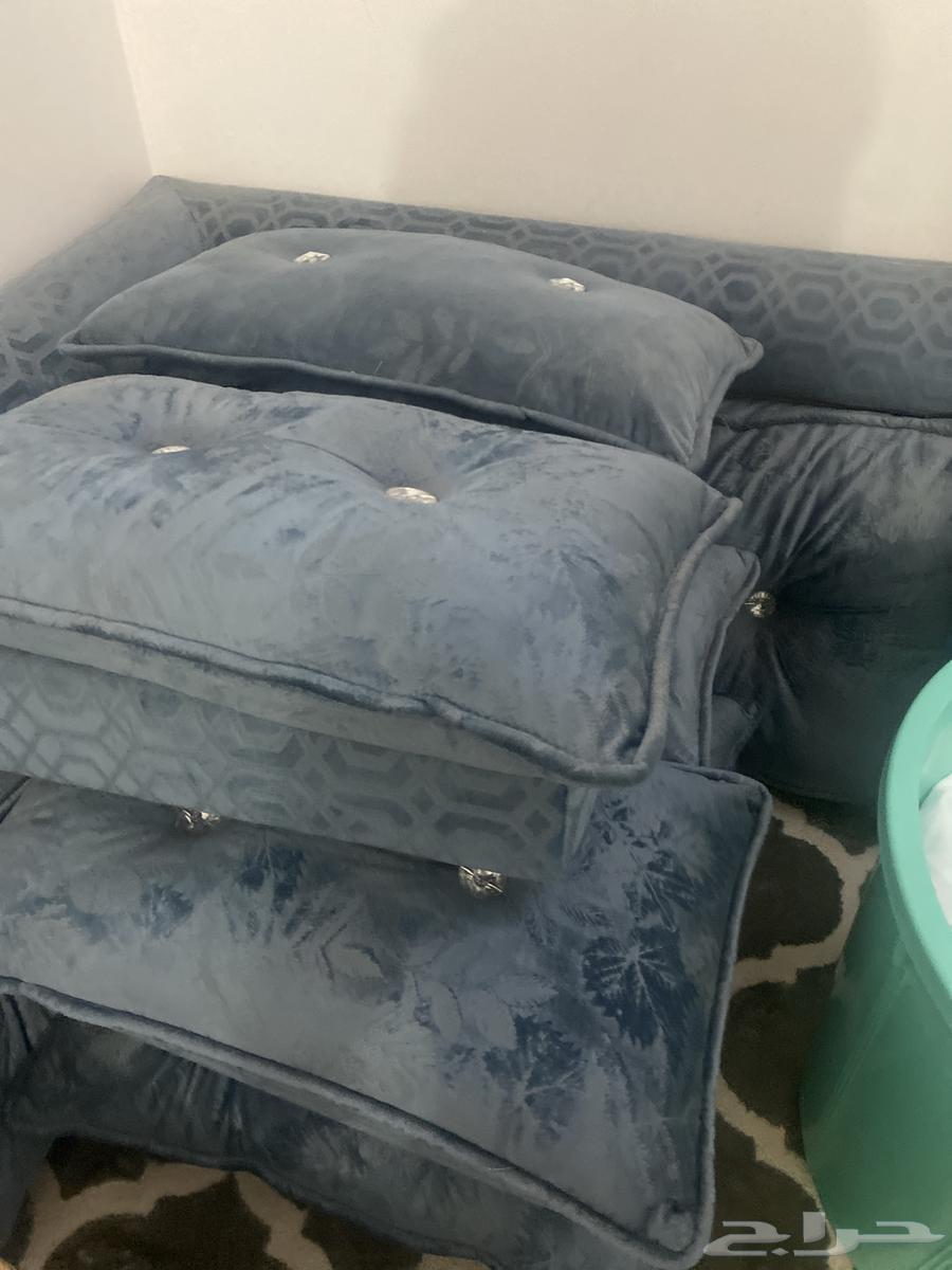 His brother's new sofa, used for 6 months, free of defects64359518060674114