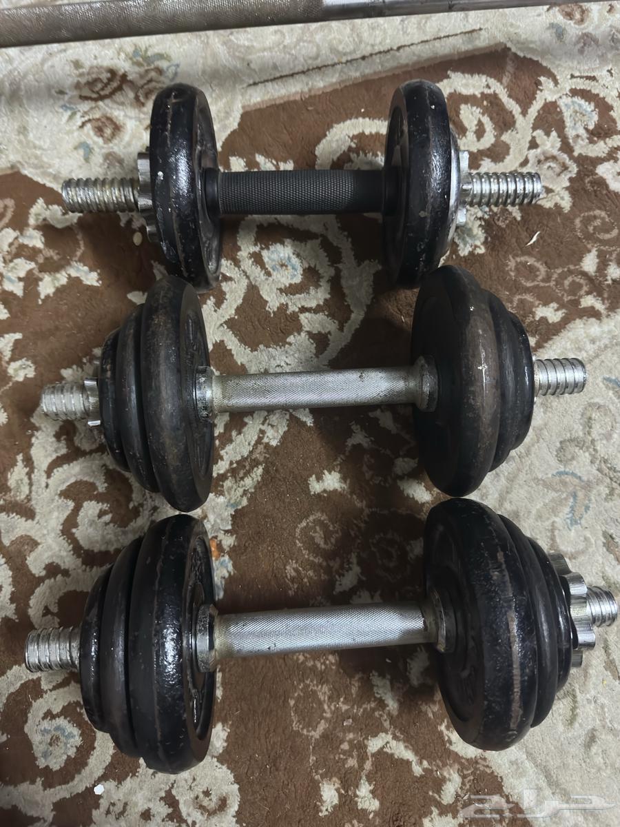 دمبلصات للبيع64350733591555111