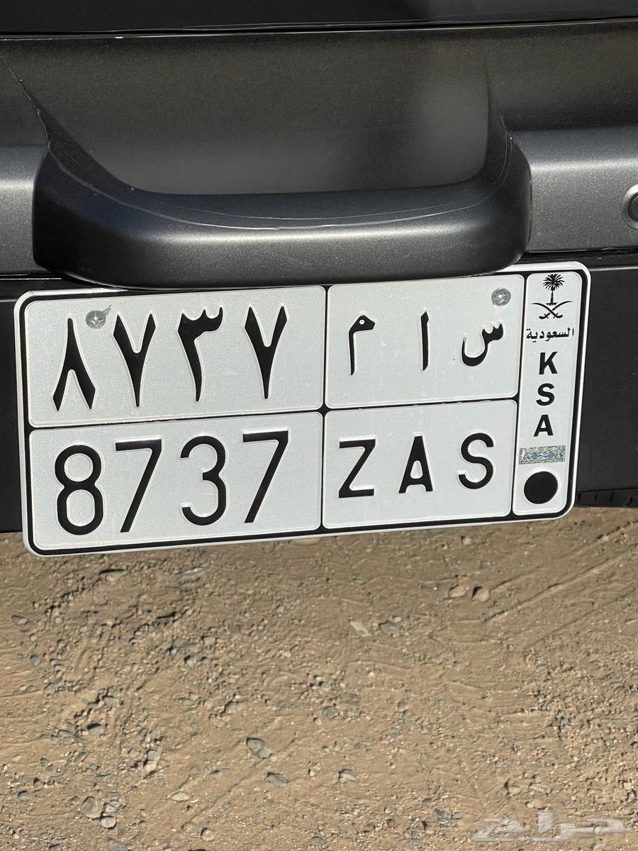 لوحة سام - 8737 للبيع64502803546113110