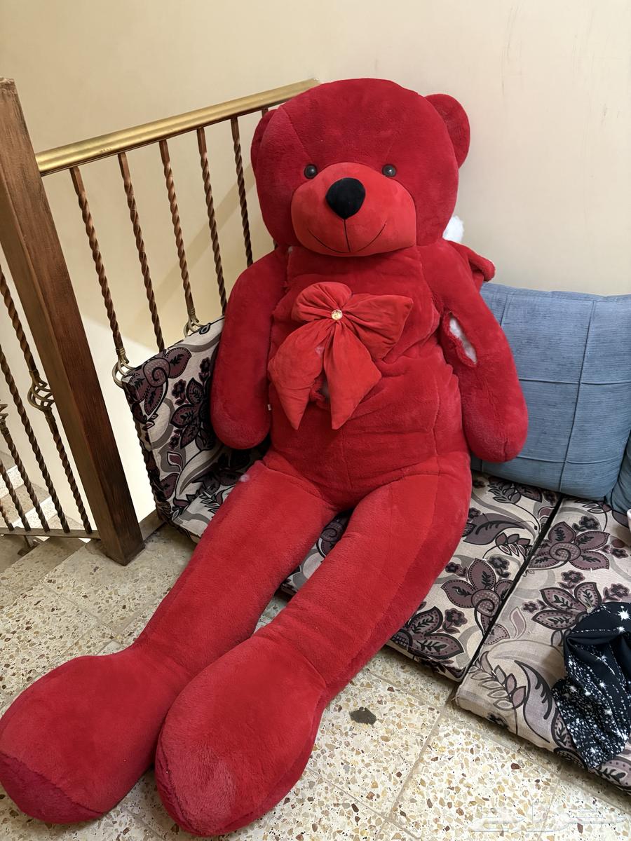 دبدوب احمر كبير64362966464897110