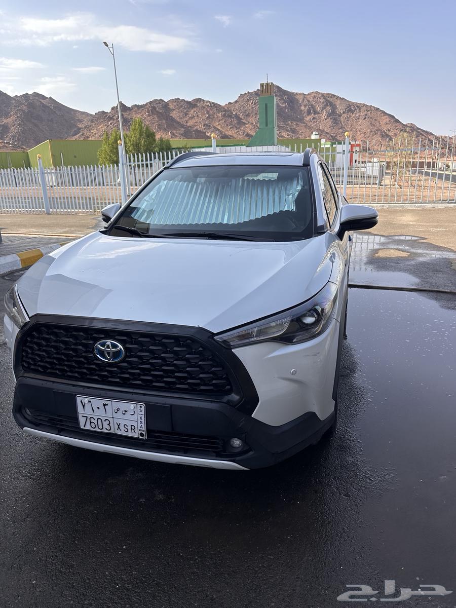 المدينه المنوره معرض القليطي64499953377794110