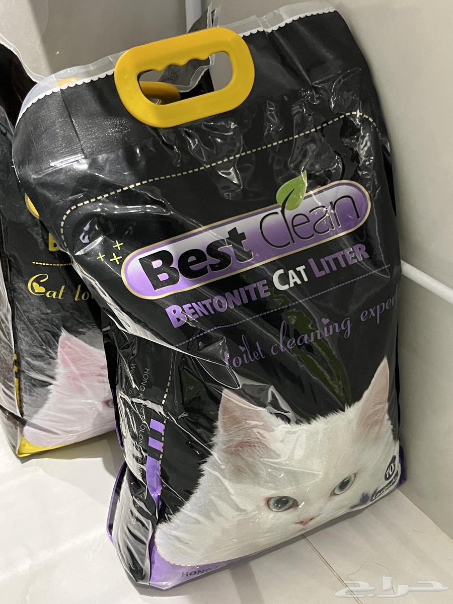 رمل قطط64359981054082110