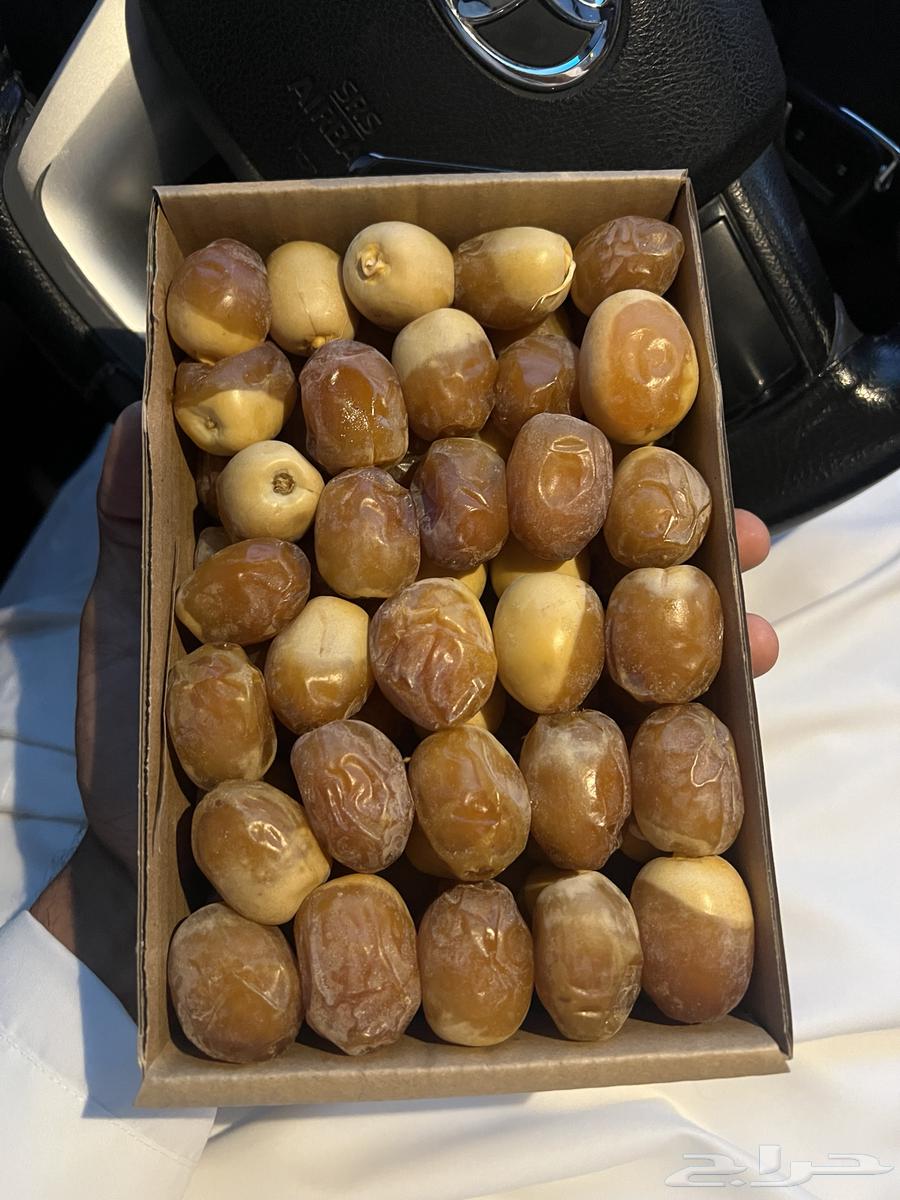 Sultan Nabut dates with side compartments and storage space for refrigerator or pot64355713161985111