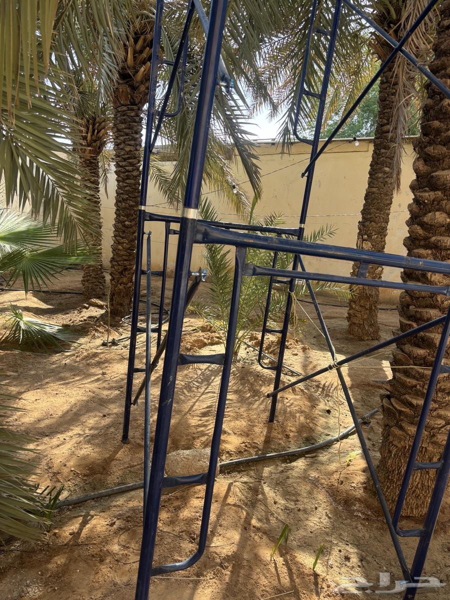 Scaffolding64495720146689111