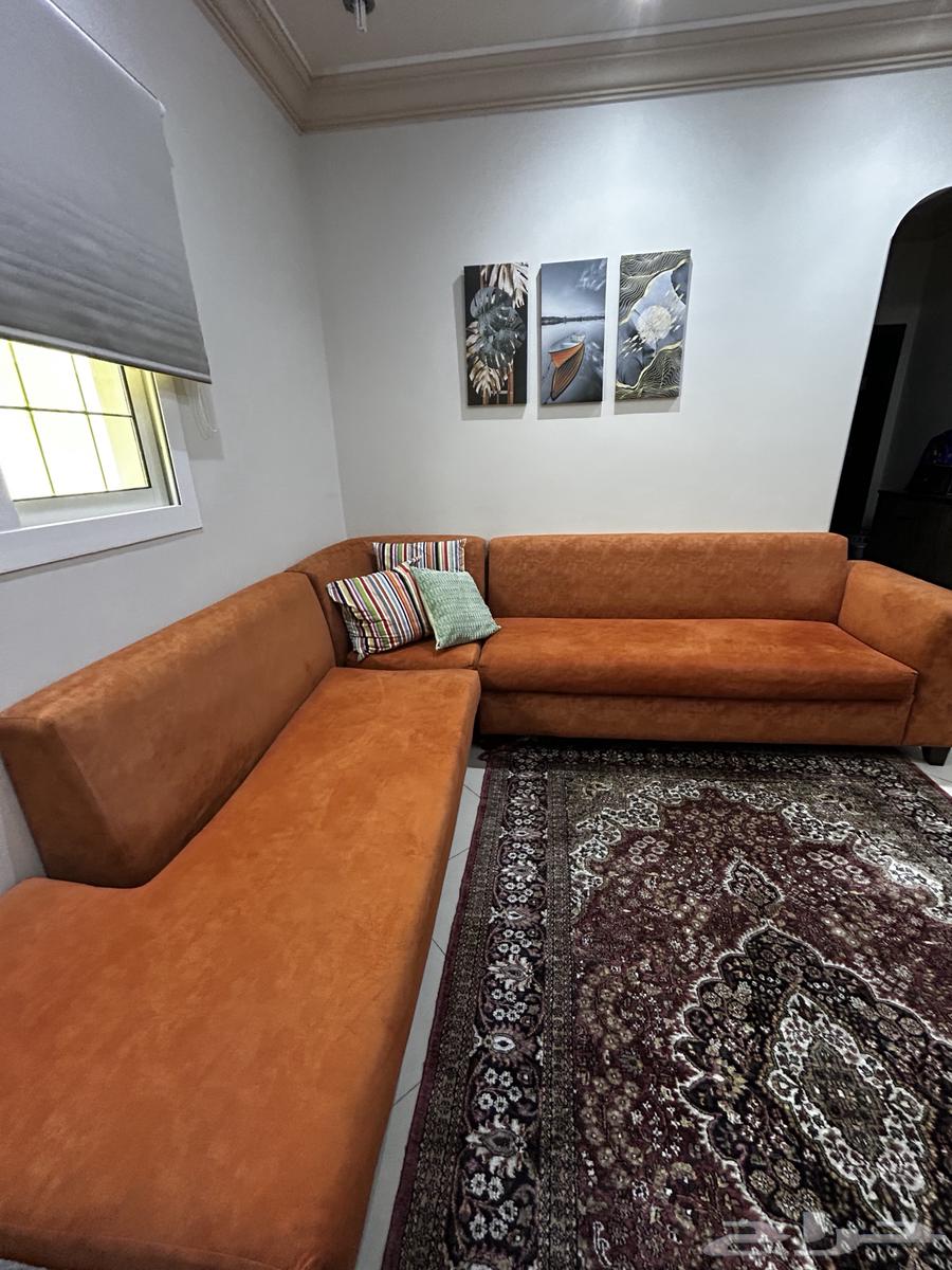 Sofa64354725526786111