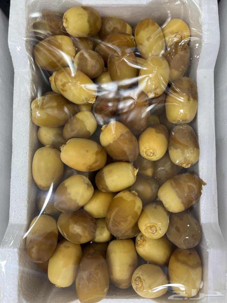 روثانه فاخر حبه كبيره64361092072835111