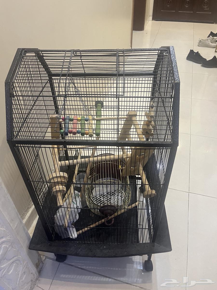 للبيع ثلاث اقفاص للطيور64356836169603111