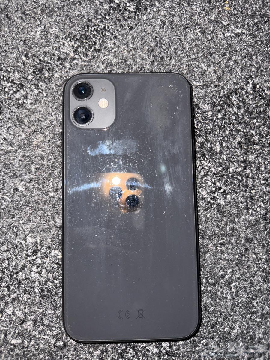 iPhone 11 Regular64354399641473111