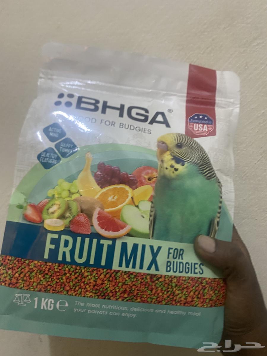 فواكه مجففه لجميع انواع الطيور والببغاوات64350203551490111