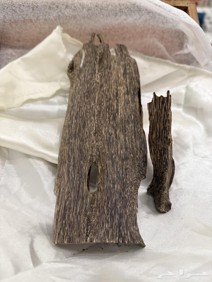 تحفة نادرة من العود السيلاني64361682252674111