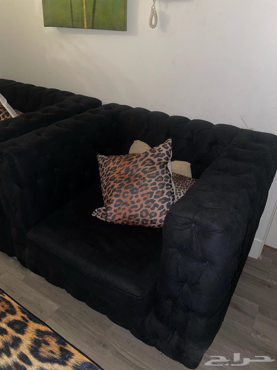 كنب اخو الجديد من ماركة Roomz64361458907139113