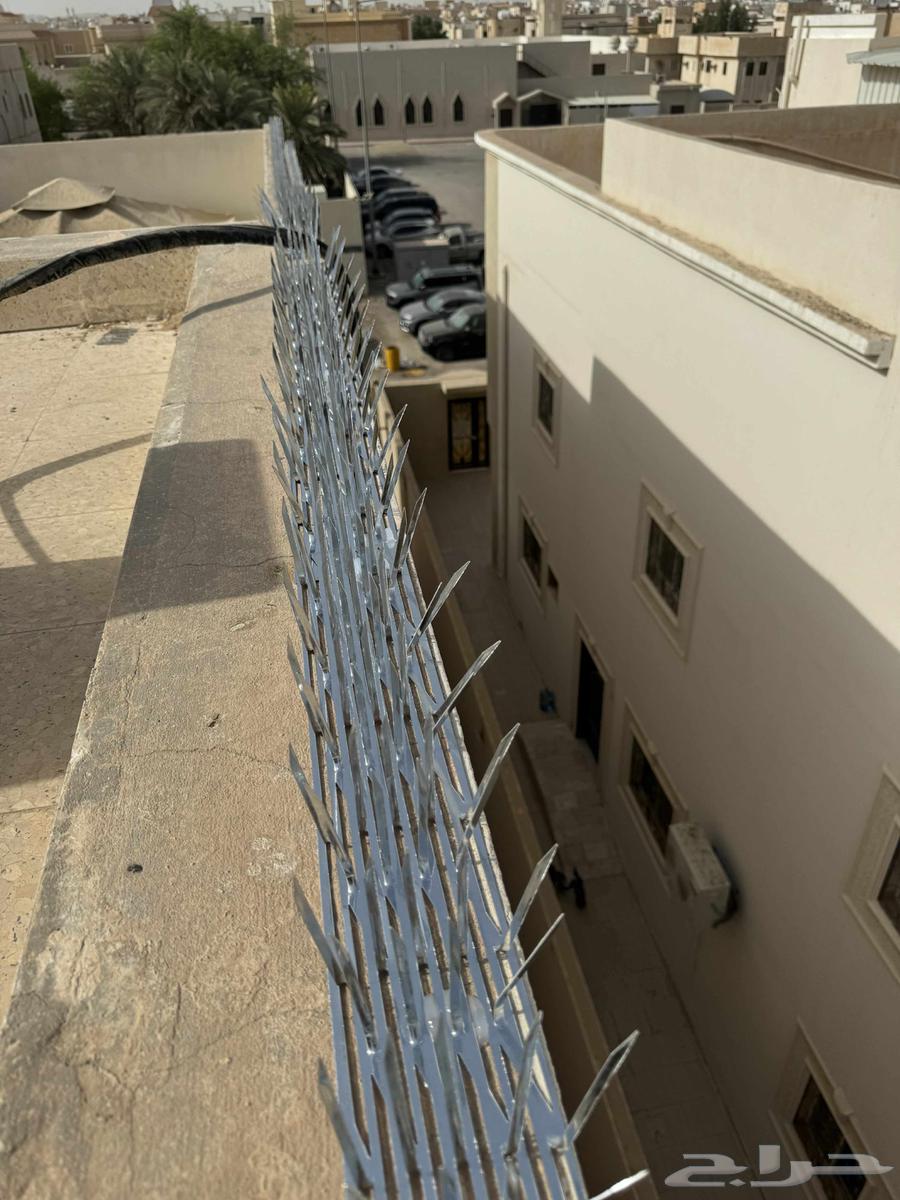 Pigeon Repeller63617346896129111