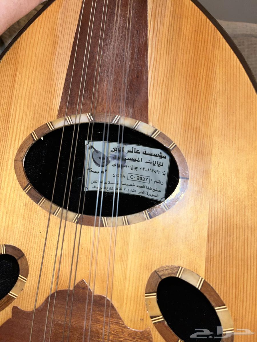 عود عزف مصري64355053628033110