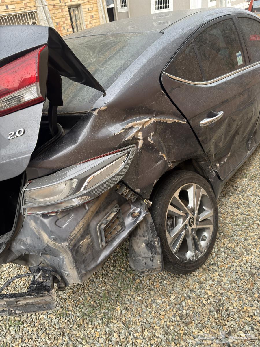 2018 Elantra Shocked64505875261569111