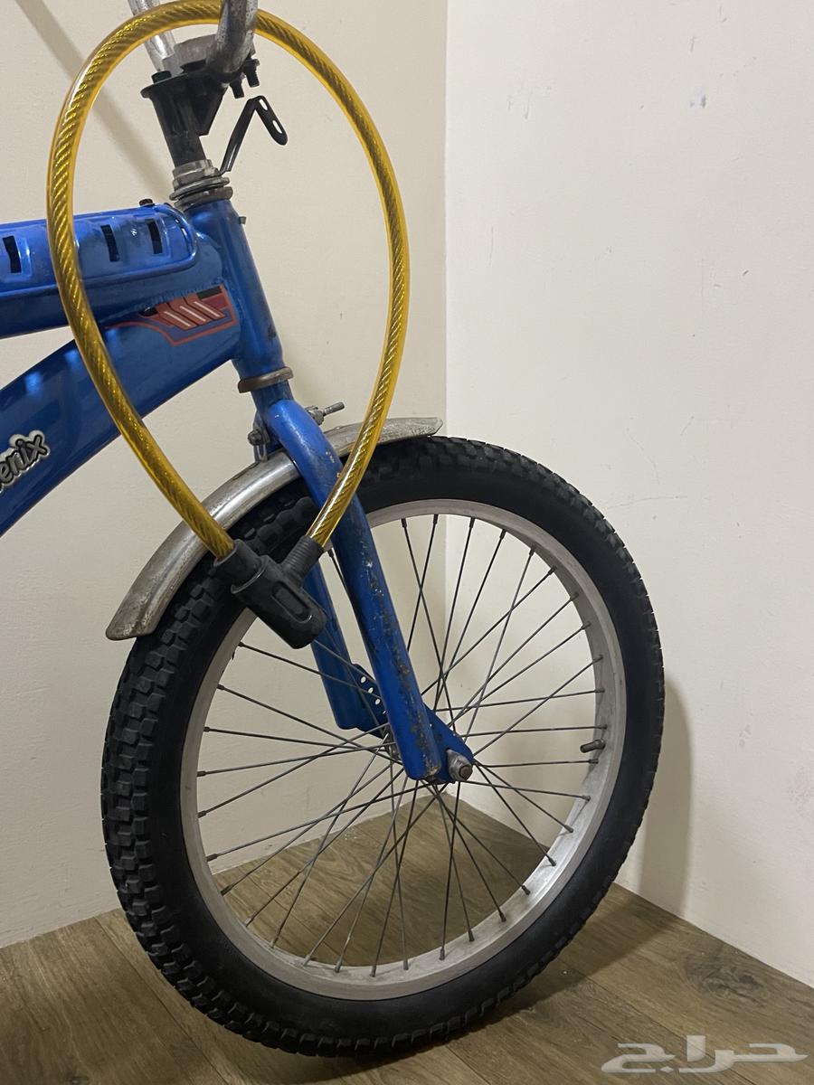 Rambow Bicycle64354548990081111