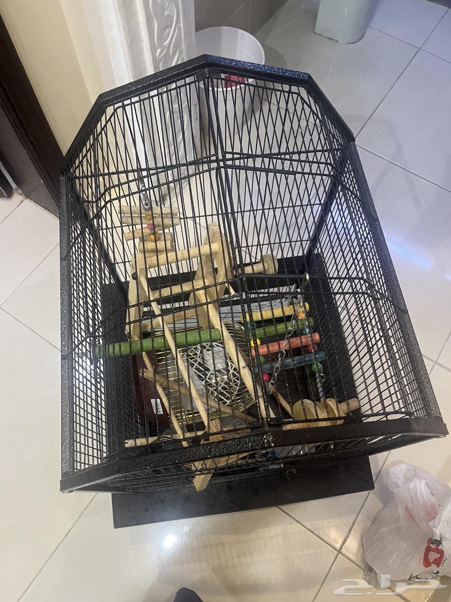 للبيع ثلاث اقفاص للطيور64356836169603110