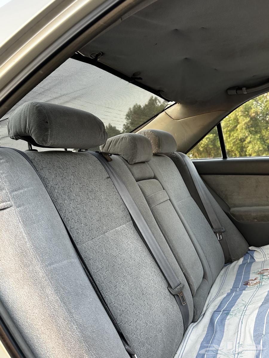 Camry 200664504668176513111