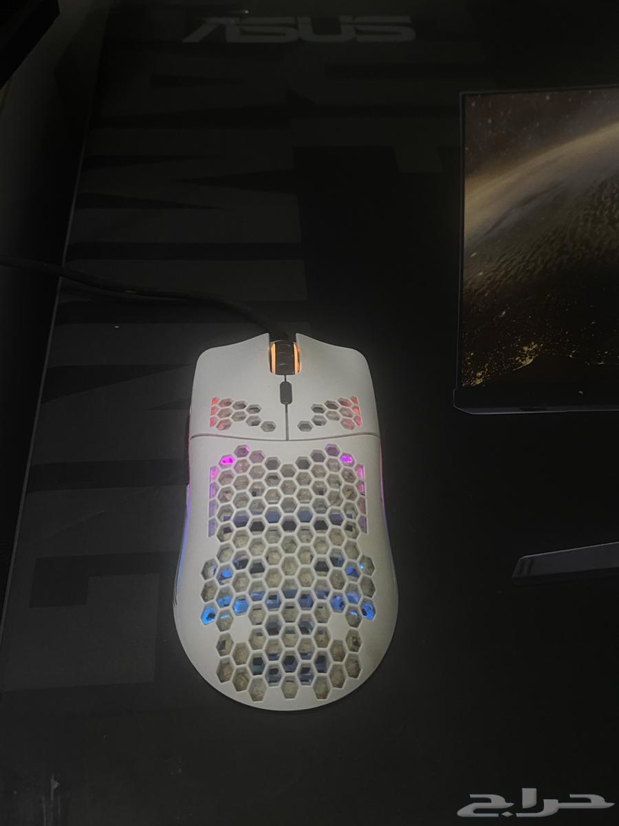 Mouse64349536439297111