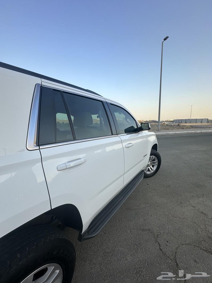 Tahou 2017 LS64501229365251114