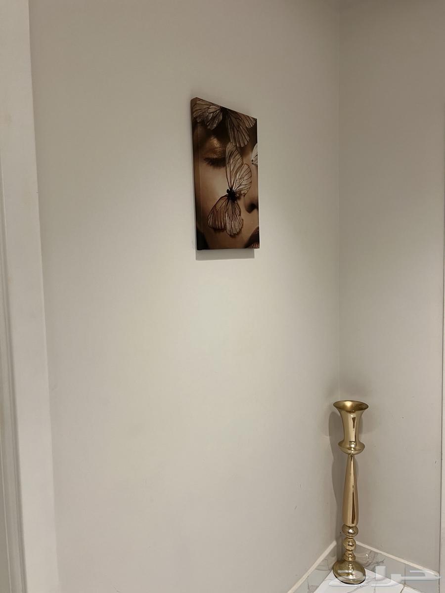 اثاث صاله للبيع64358322833283113