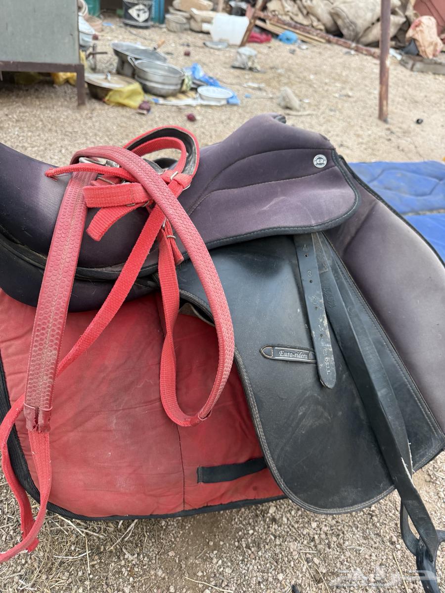 للبيع سرج خيل64356077516417111