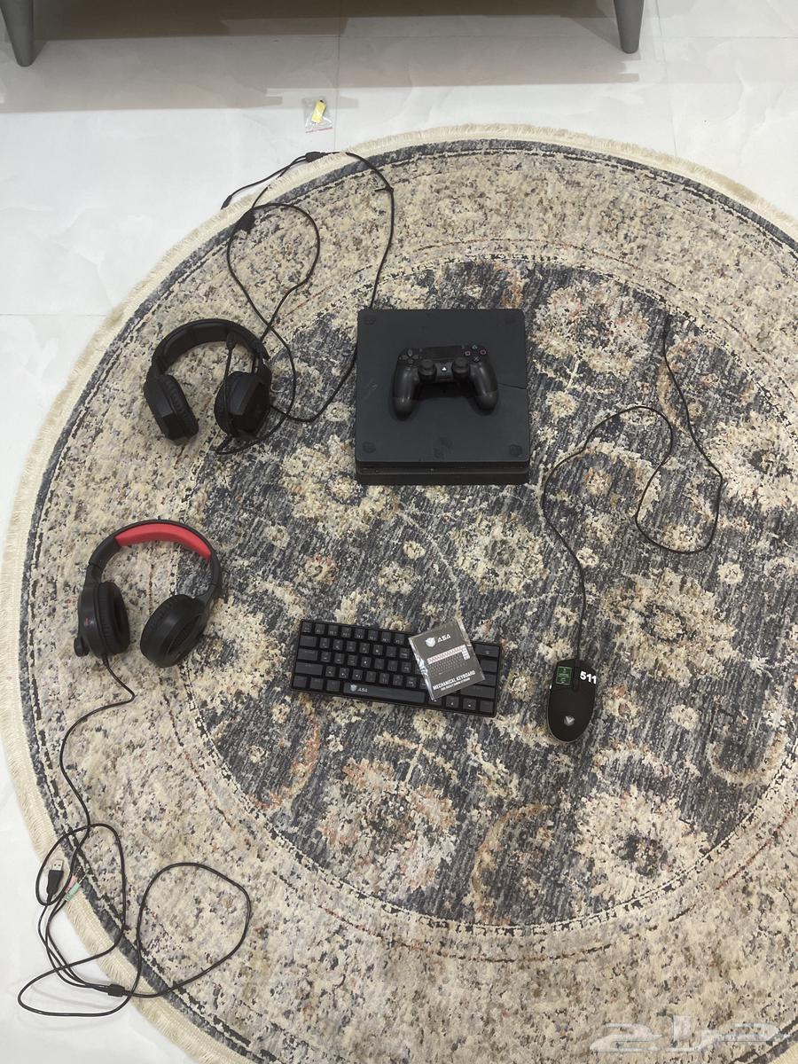 للبيع لايجي الا الصامل -60064362484648194110