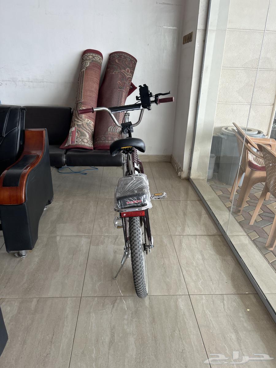 رامبو اندنوسي للبيع64356471956995110