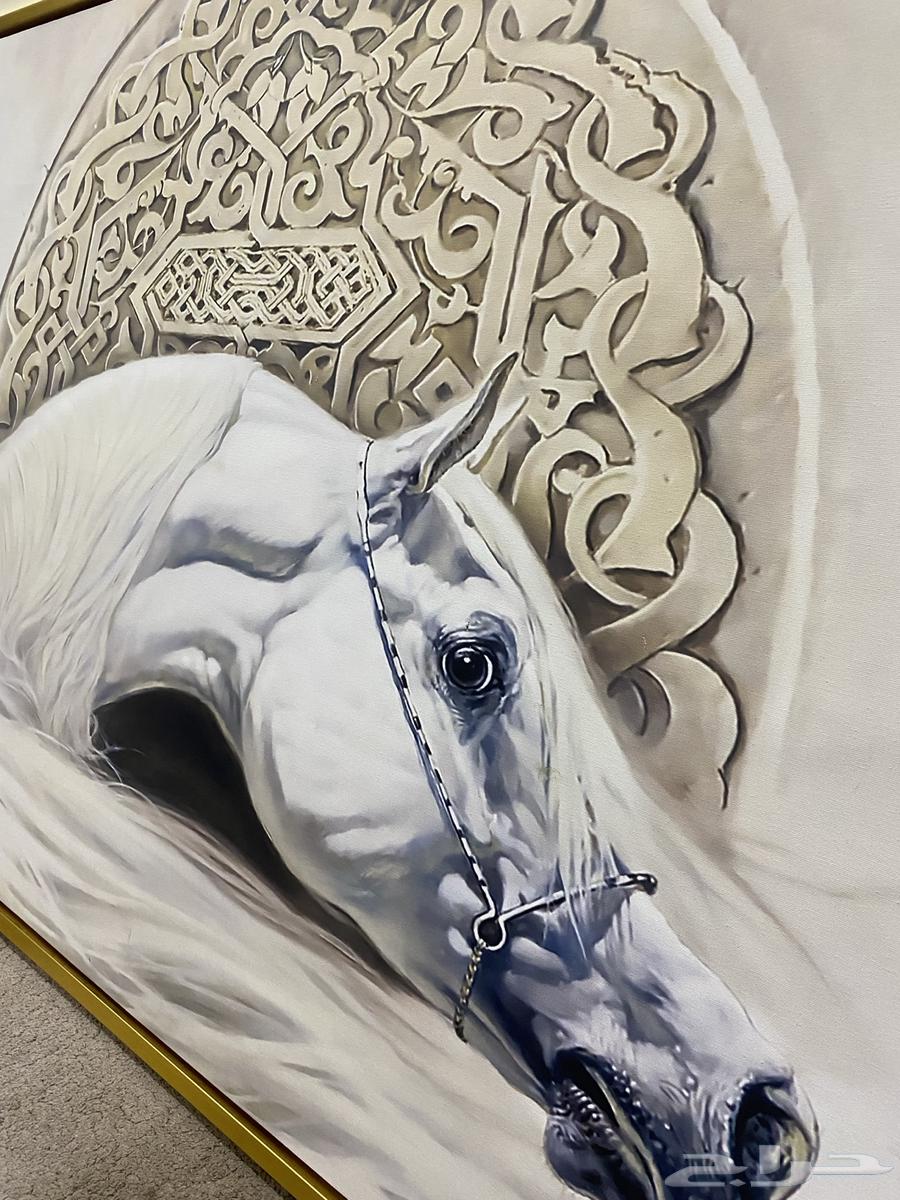 Board64493809421057111