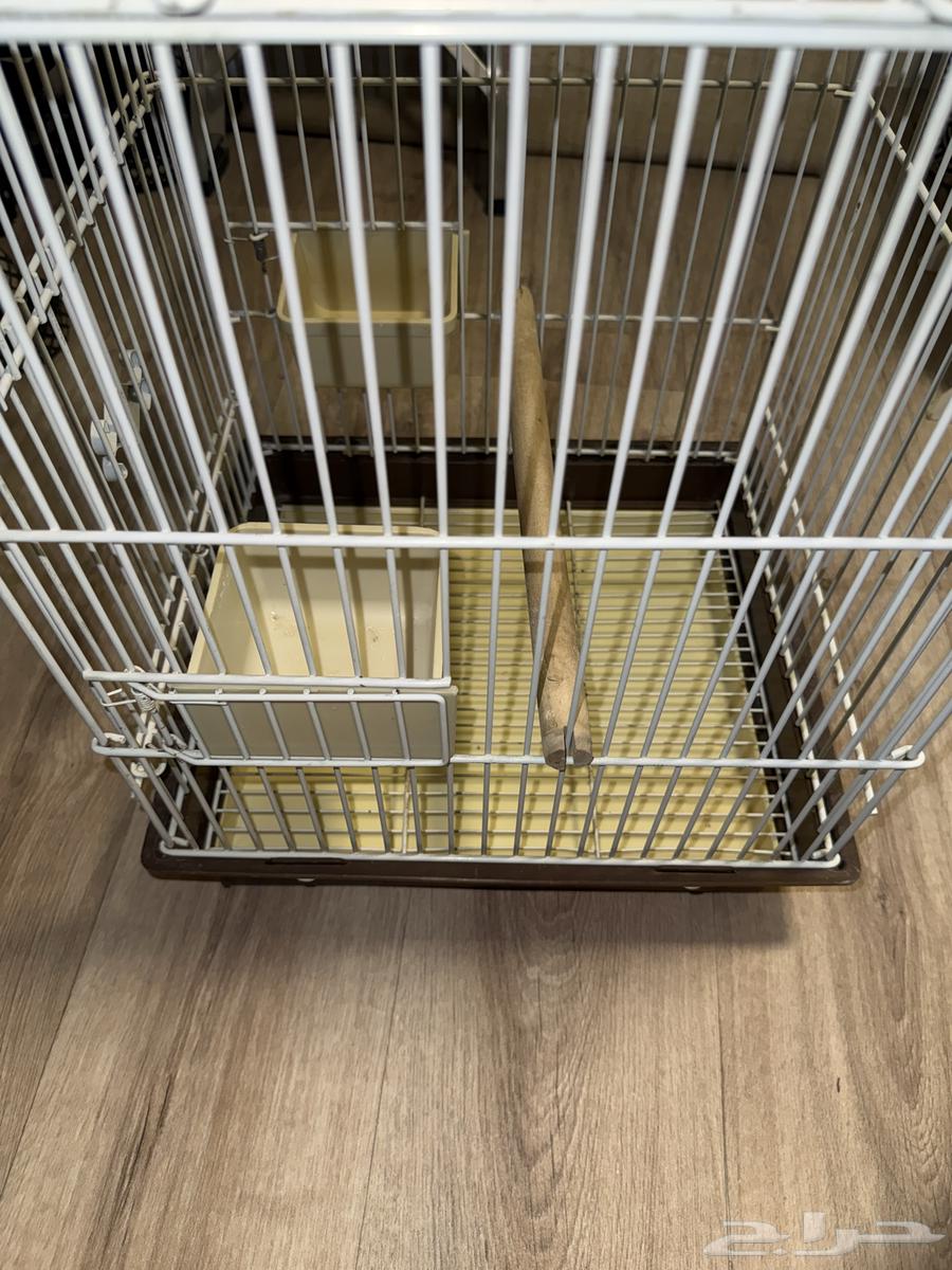 قفص طيور للبيع64356529639683112