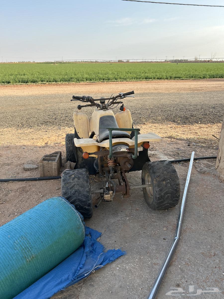 دباب64503650810625112