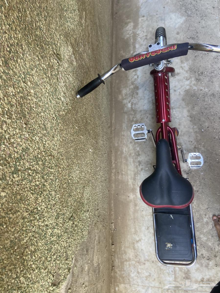 202464502045279105112