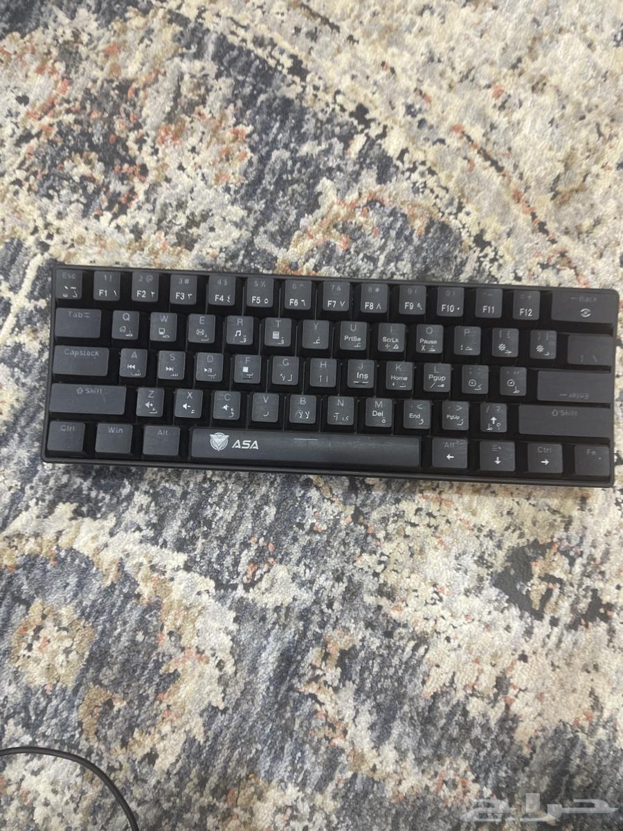 للبيع لايجي الا الصامل -60064362484648194113