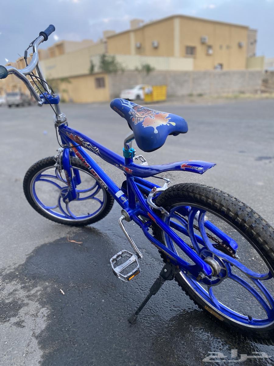 Cycle64358526546049113