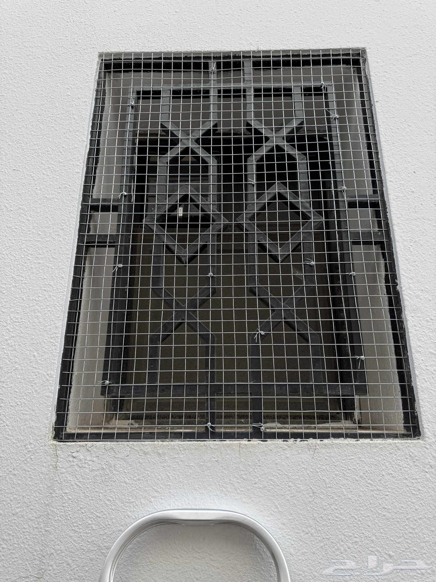 Pigeon Repeller63617346896129114