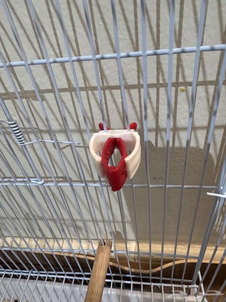 حامل عظم حبار   ومساكة خضار او عظم حبار64356281300481114