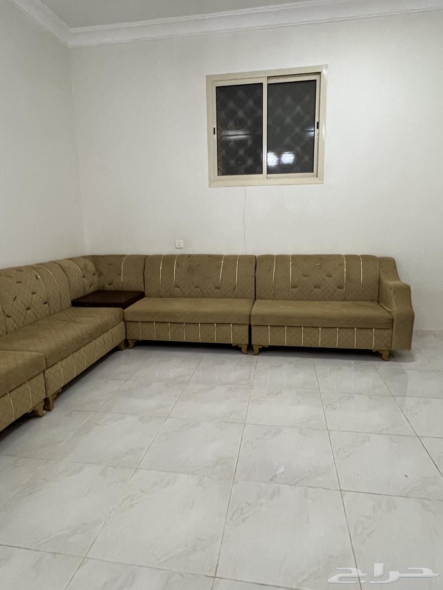 L-shaped Council64360929597955112