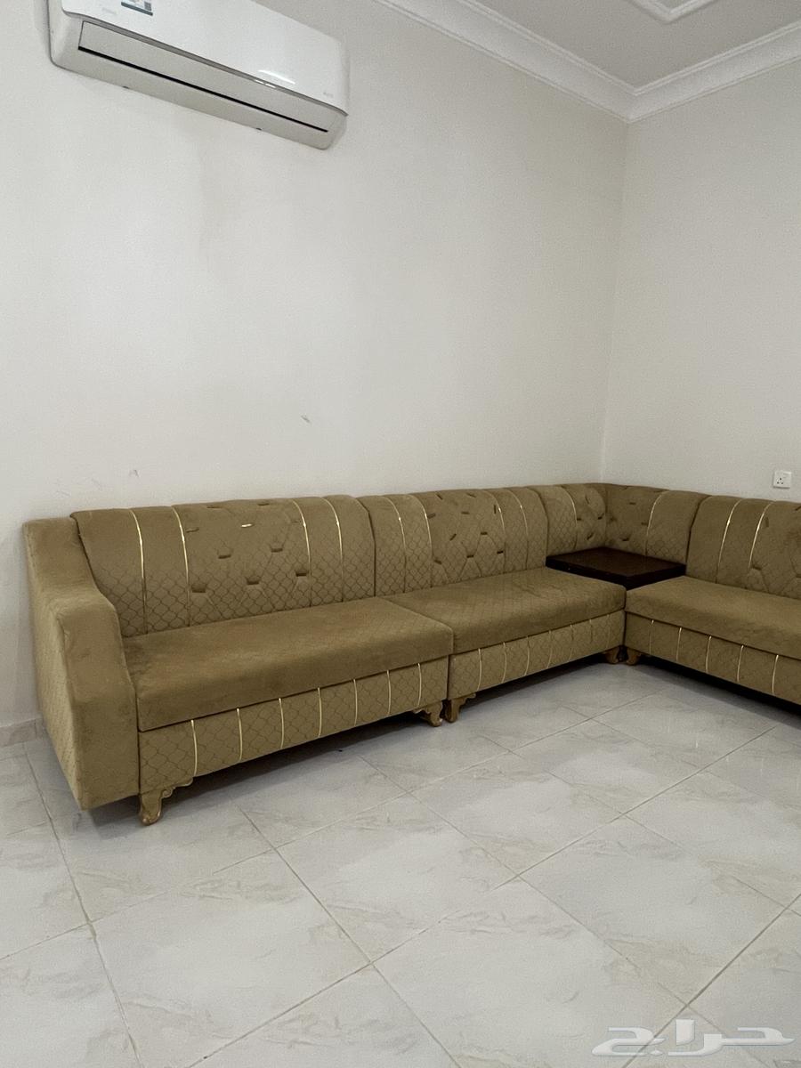 L-shaped Council64360929597955110