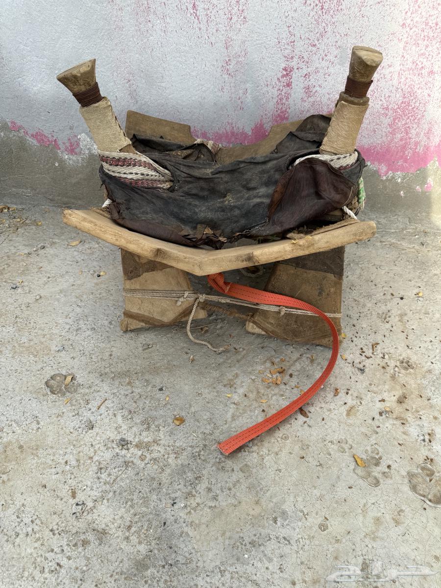 شداد للبيع64357232634883110