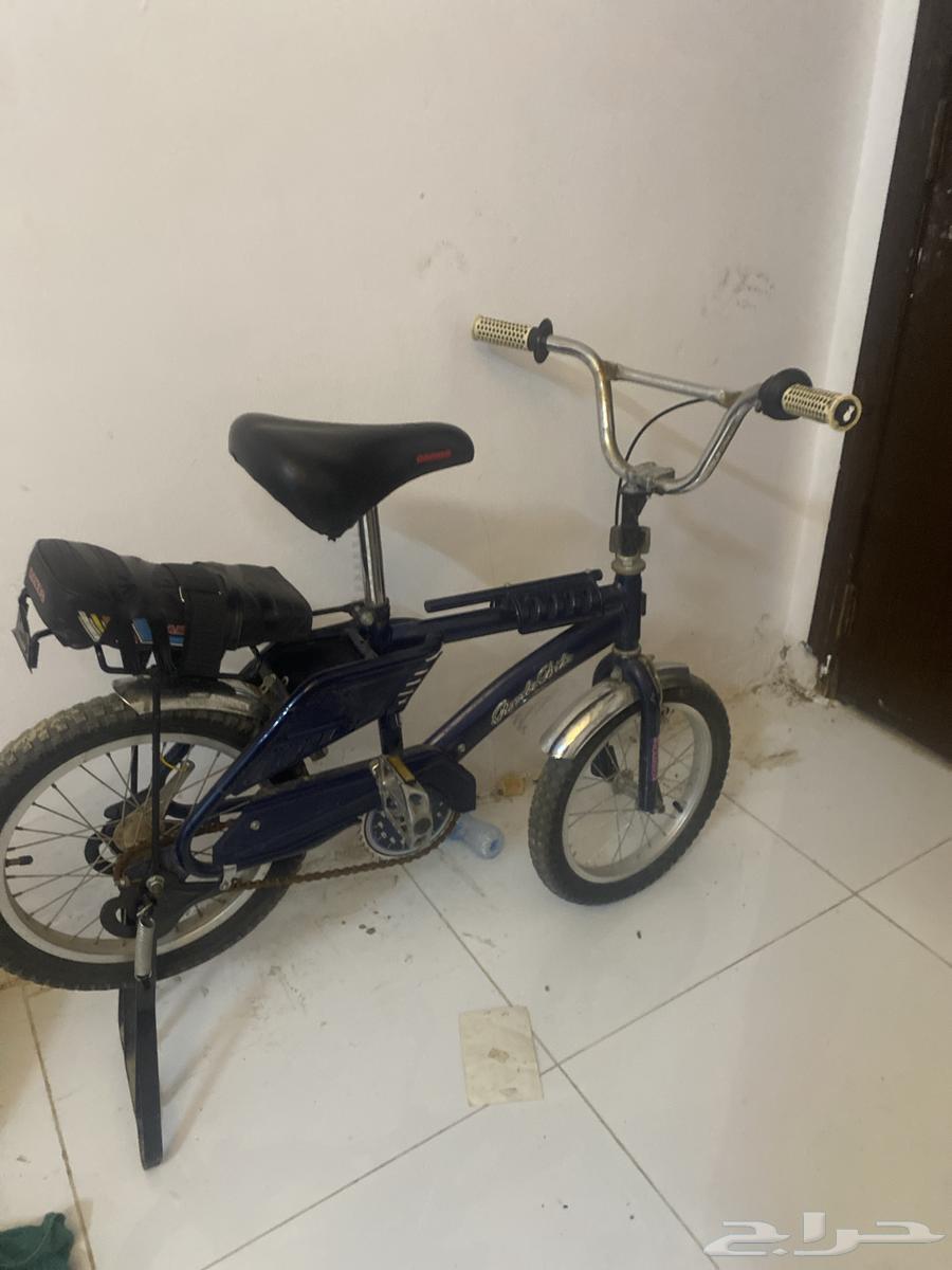 سيكل رامبو مقاس 1664354534378498113