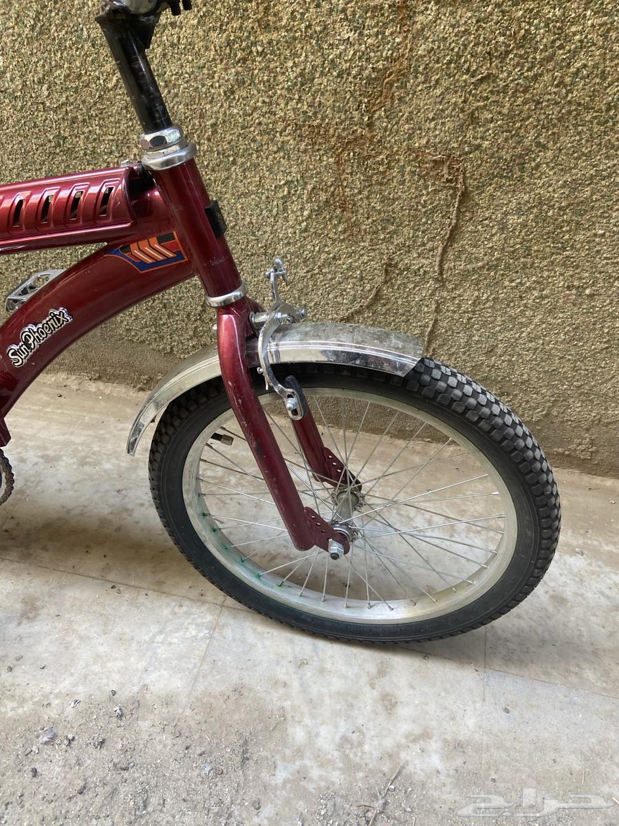 202464502045279105113