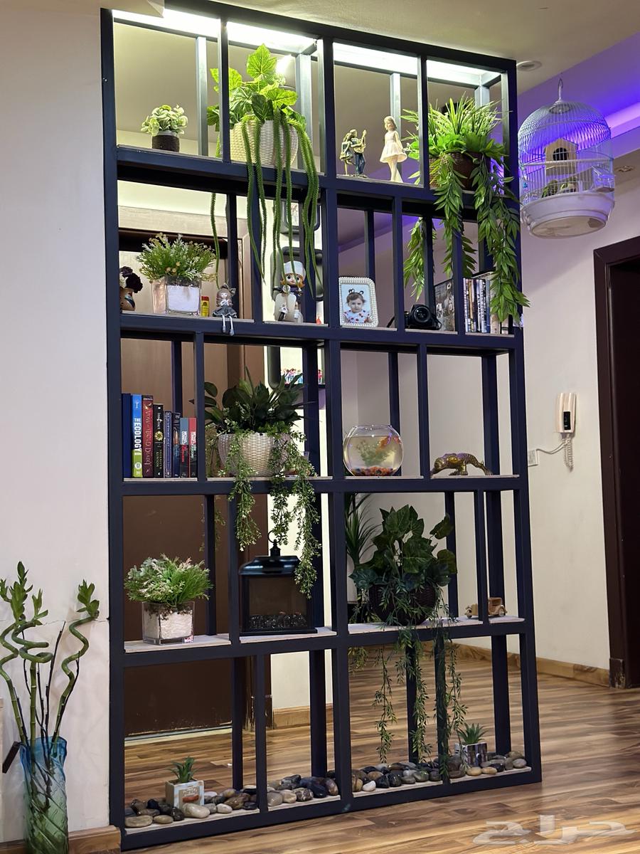 ديكور حديد64360348286595110