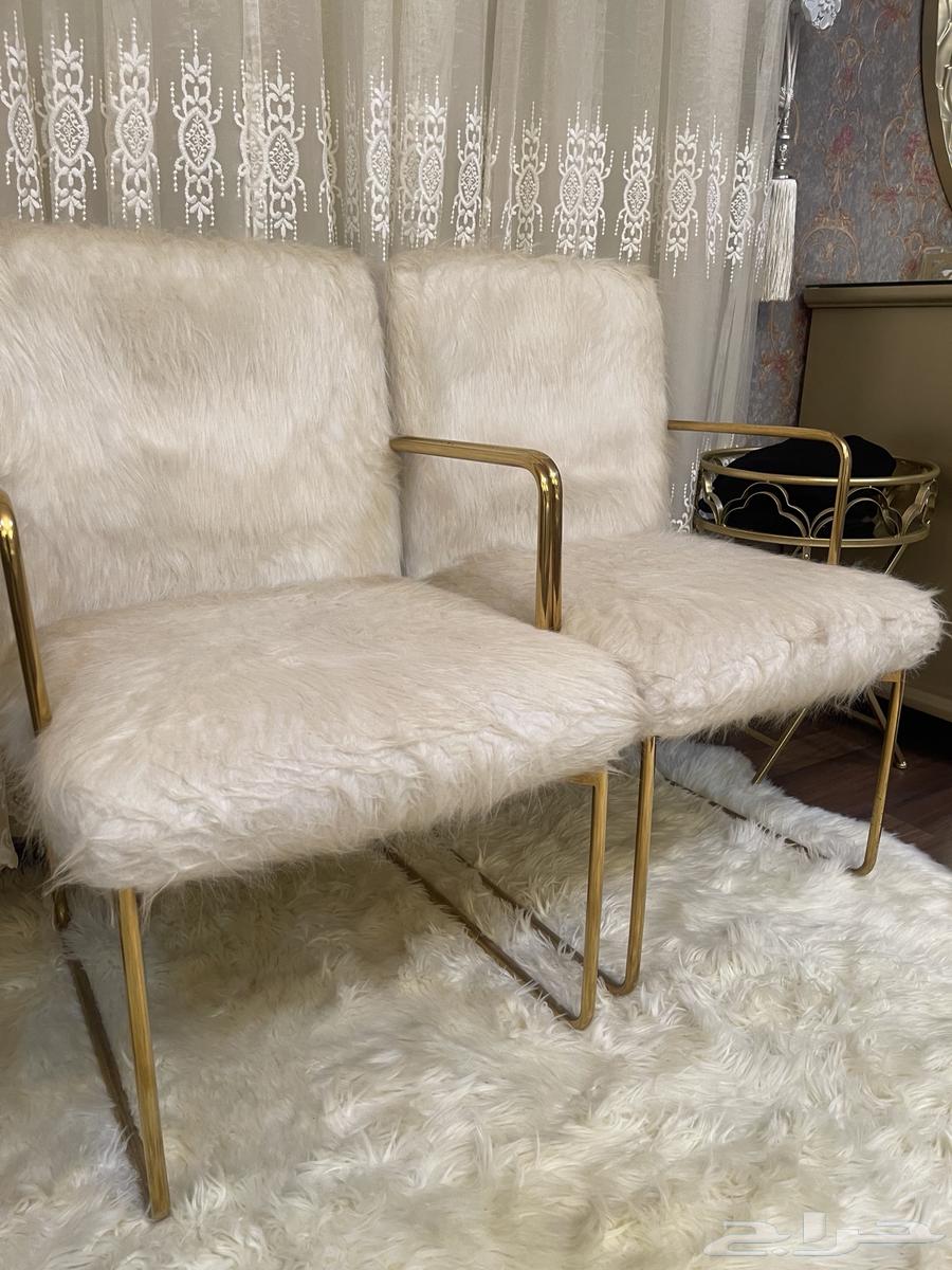 Elegant session, modest use, very permissible sale64351366637187114